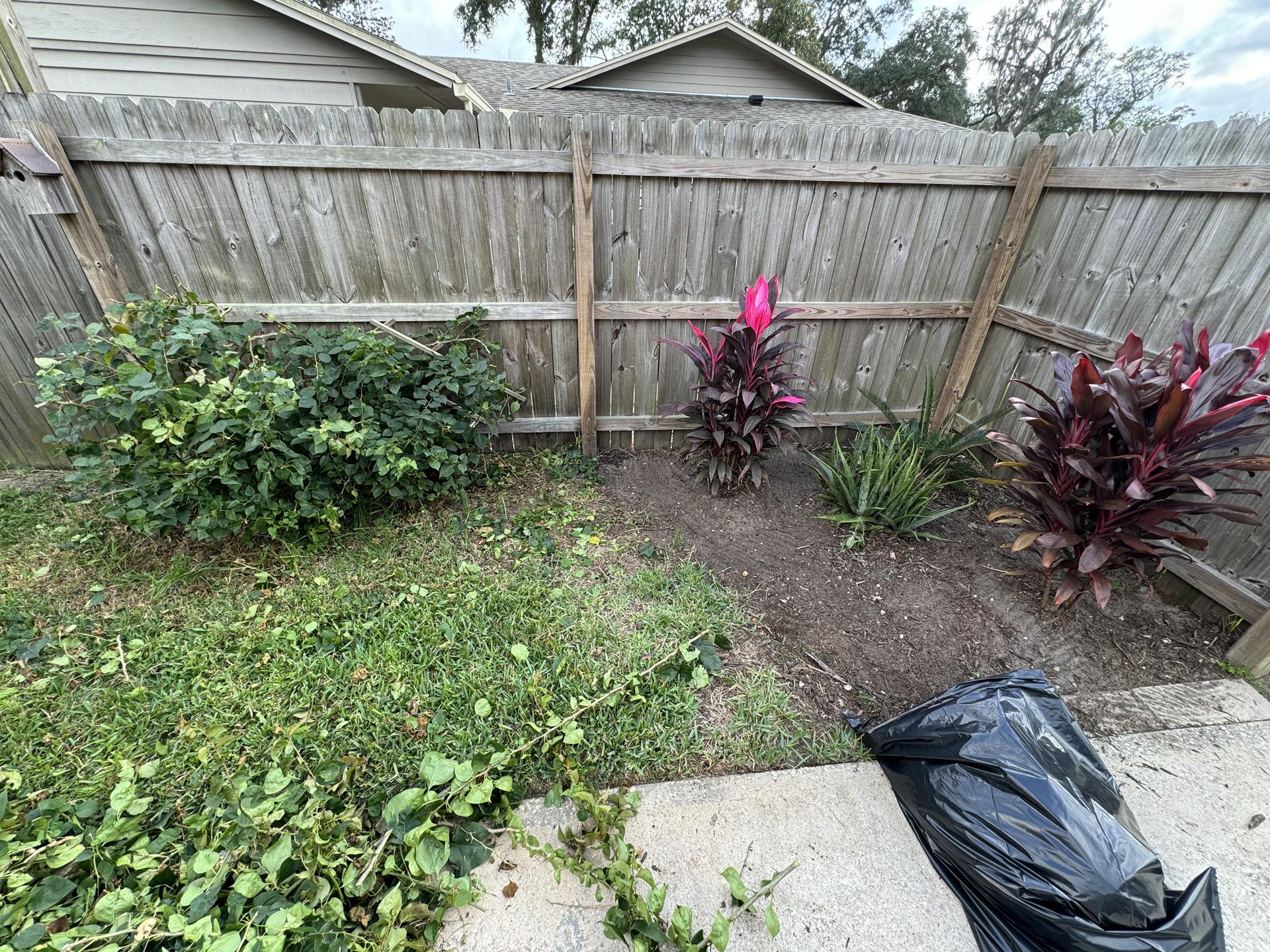 Backyard cleanup and bed restoration