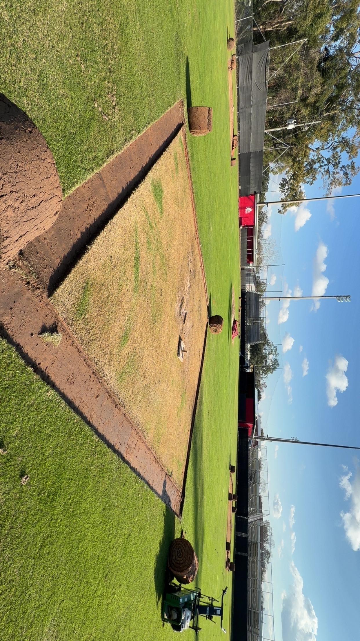 New sod installation