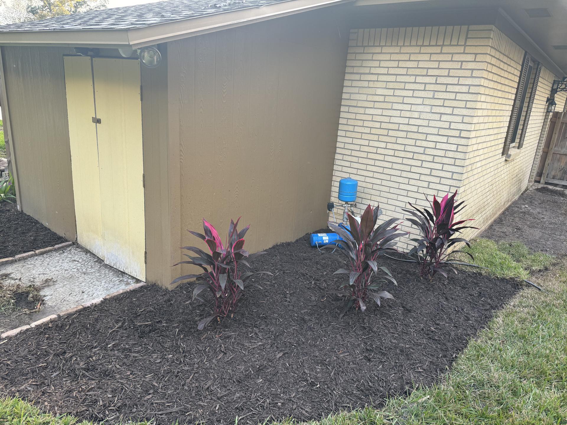 Fresh mulch installation around home